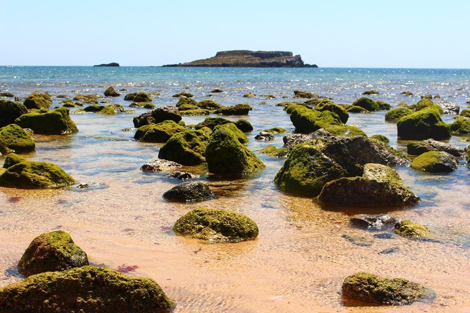 Sagres Sunny Room With Private Bathroom 300M From The Beach Εξωτερικό φωτογραφία